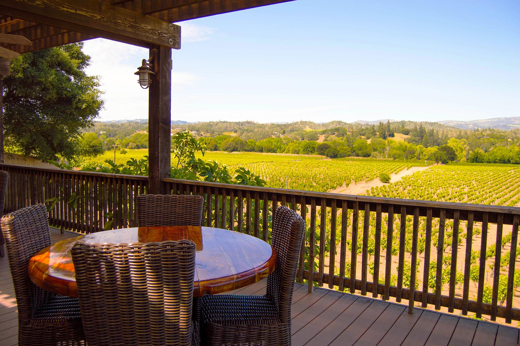 01_UltimateNapaandSonoma__TasteonaHilltopWineTasting_tasting_rooms_wineries_Zichichi_by_Sierra_Downey_Sonoma_County_001