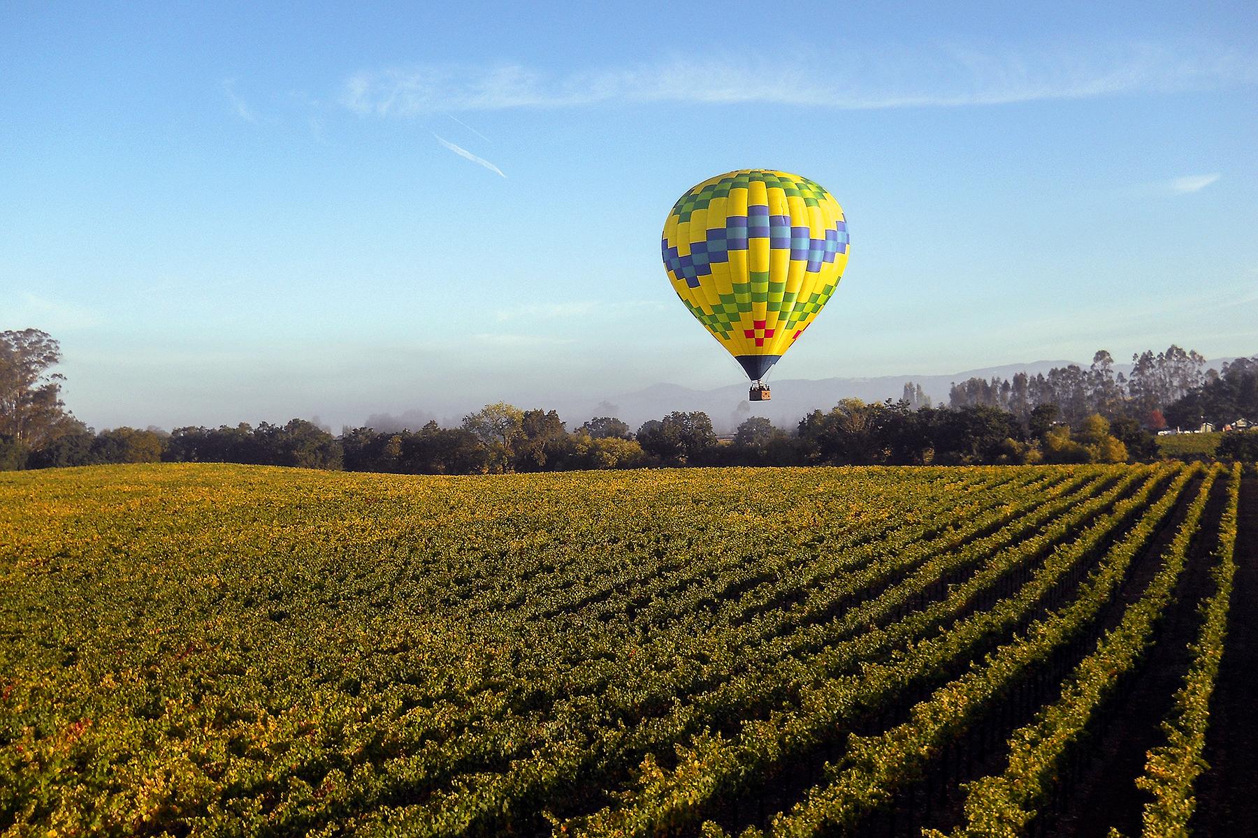 THE TOP 15 Things To Do in Napa & Sonoma (UPDATED 2024)
