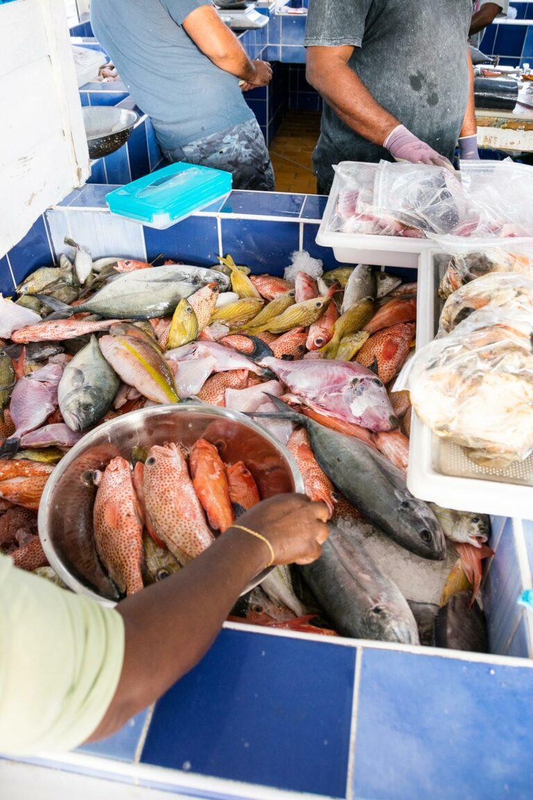 <a href='https://www.fodors.com/world/caribbean/st-martin-and-st-maarten/experiences/news/heres-where-to-find-saint-martins-best-kept-secrets#'>From "Here's Where to Find Saint Martin's Best-Kept Secrets: Fish Market "</a>