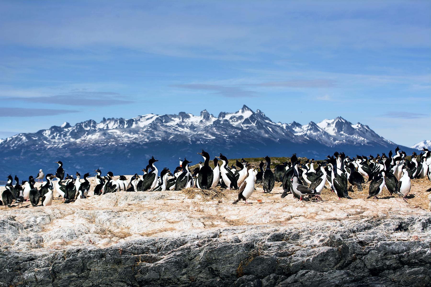 18_Ultimate Argentina_Get your passport stamped at the ‘end of the world’ (and circle the Beagle Channel while you’re at it)_shutterstock_519280867