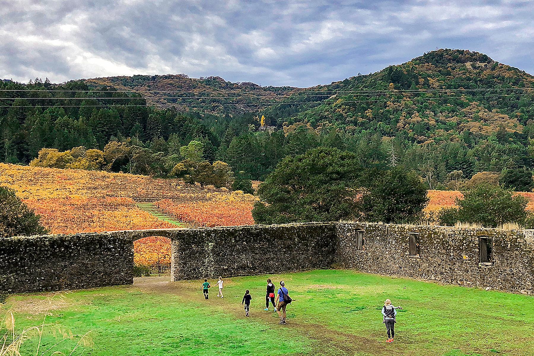 18_UltimateNapaandSonoma__HikethroughJackLondonState_parks_Jack_London_State_Historic_Park_Glen_Ellen_Sonoma_County_015