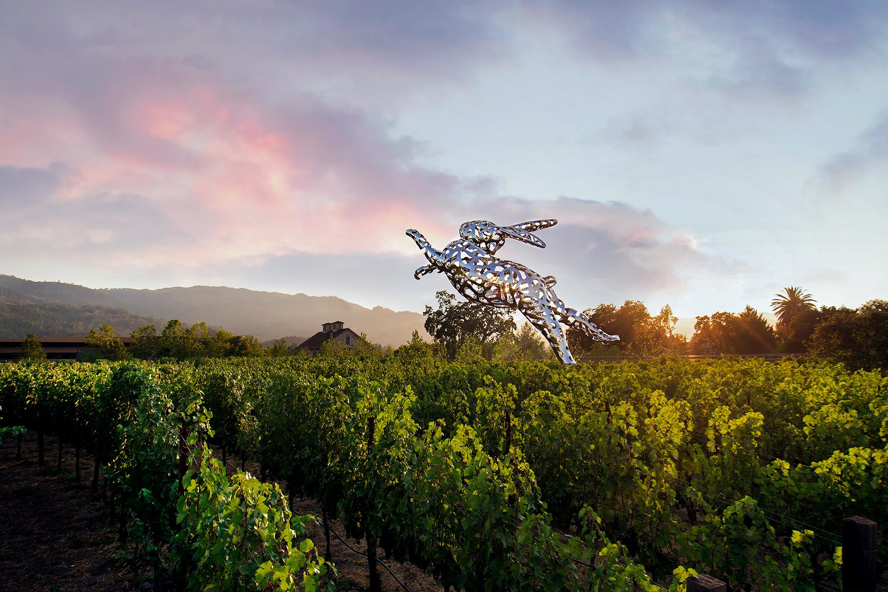 24_UltimateNapaandSonoma__OgletheArtatWineries_HALL Bunny Foo Foo Sky