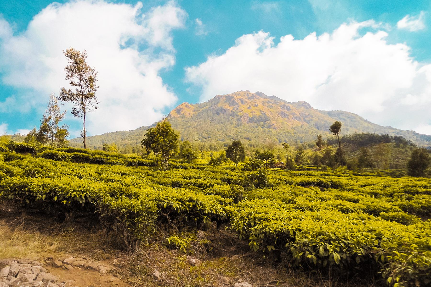 5_UTRJava_CentralHIghlands_shutterstock_672246166