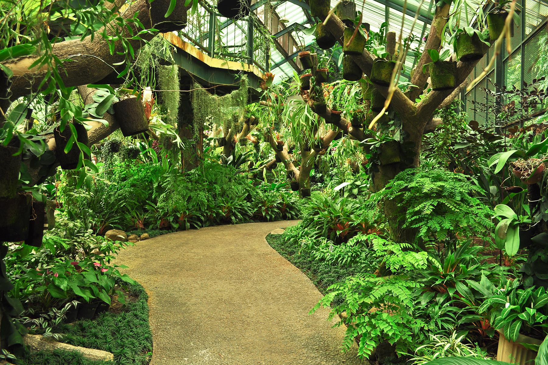 6_UTRJava_BogorBotanicalGardens_shutterstock_601076696