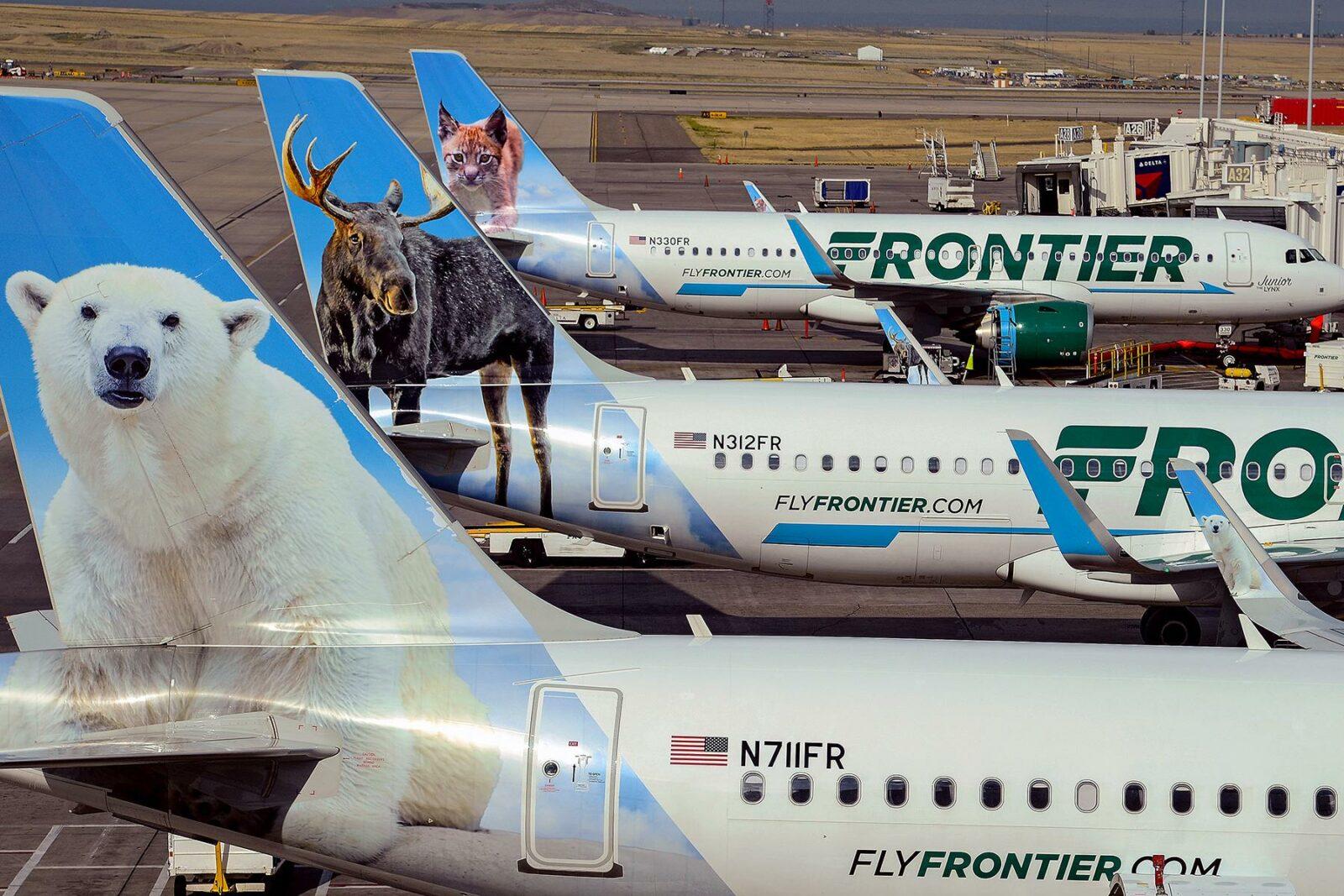 Everything You Need To Know About Flying on LowCost Airlines