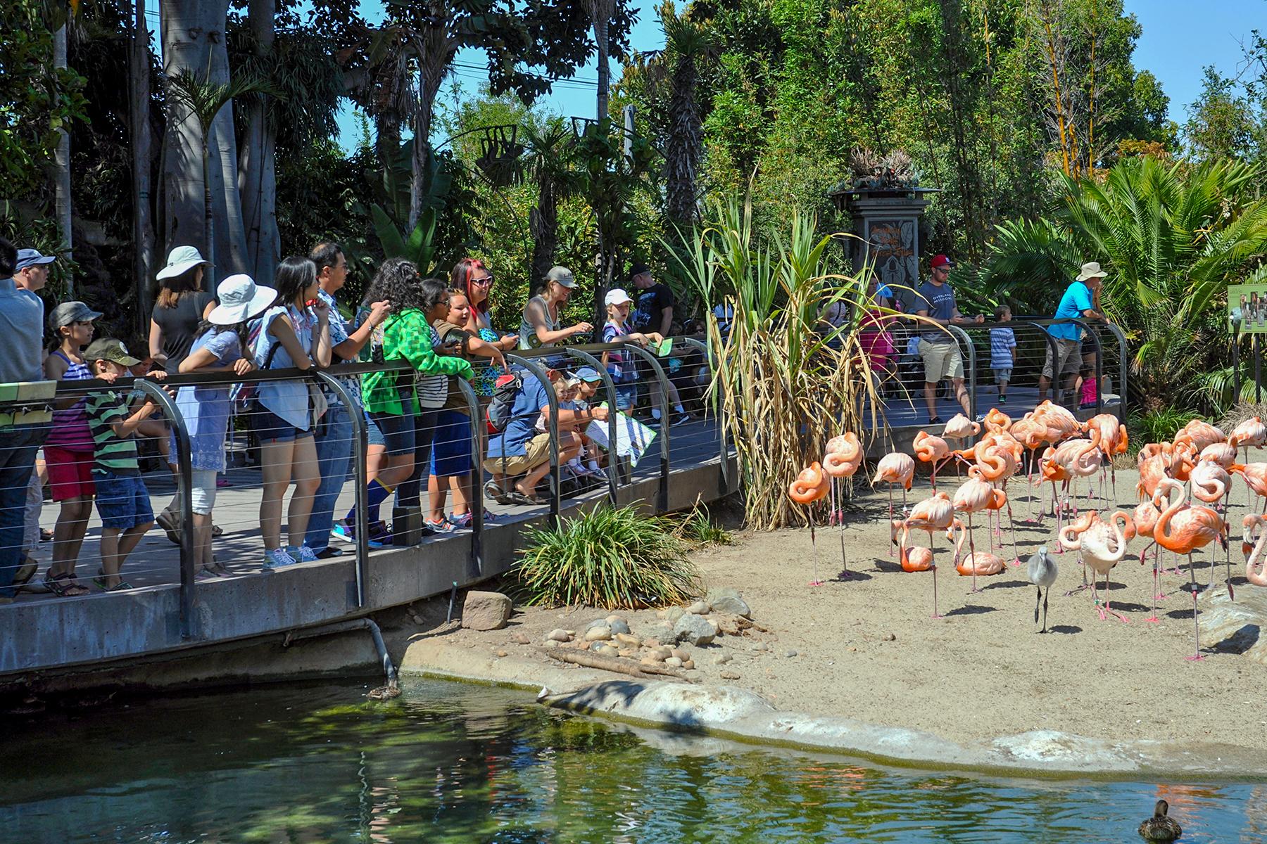 07_NeedToKnowSanDiego__SanDiegoThemeParks_dreamstime_xxl_37816098
