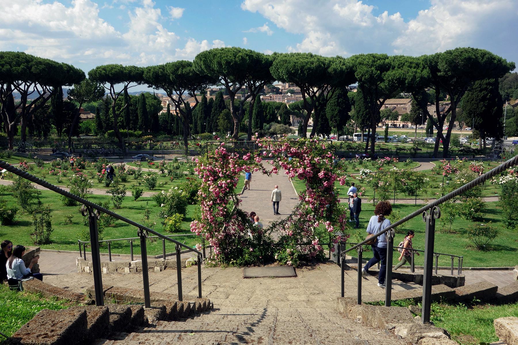 09_UnderTheRadarRome__SmellRosesOnAventineHill_dreamstime_xxl_93424179