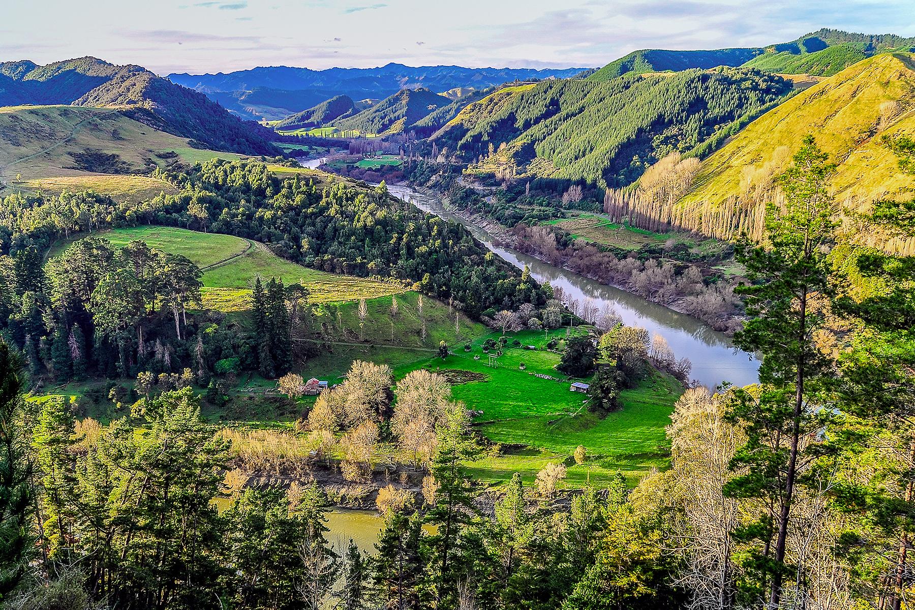 10_BestNationalParksinNZ__Whanganui_shutterstock_384768664