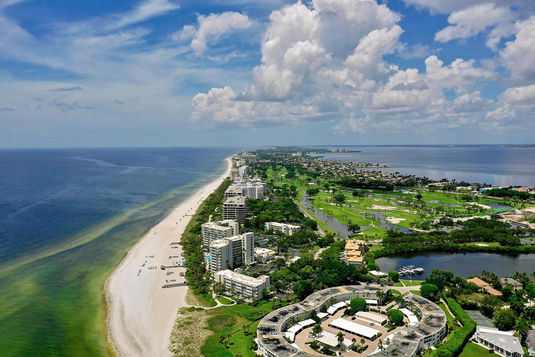 11_NeedToKnowFlorida__RedTide_shutterstock_1169496742