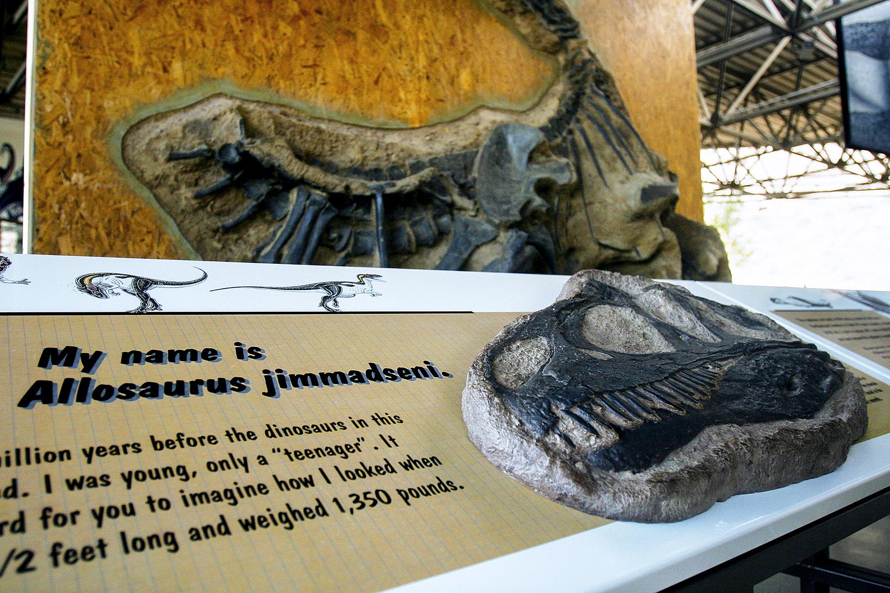 22_UltimateColorado__DinosaurNationalMonument_CO_PhotoProject2007_0584