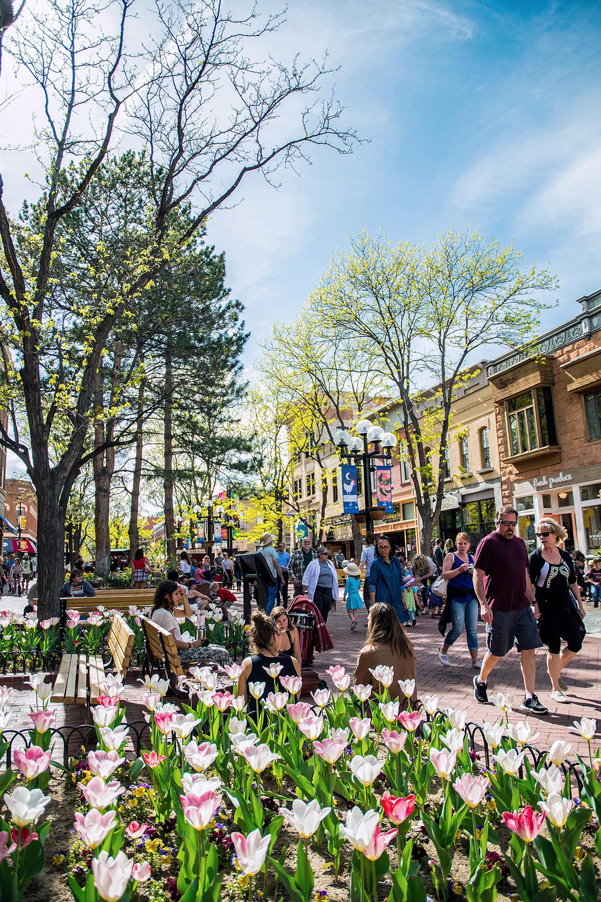 32_UltimateColorado__PeopleWatchPearlStreetMall_gallery_pinktulips