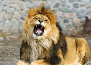 shutterstock_395192704