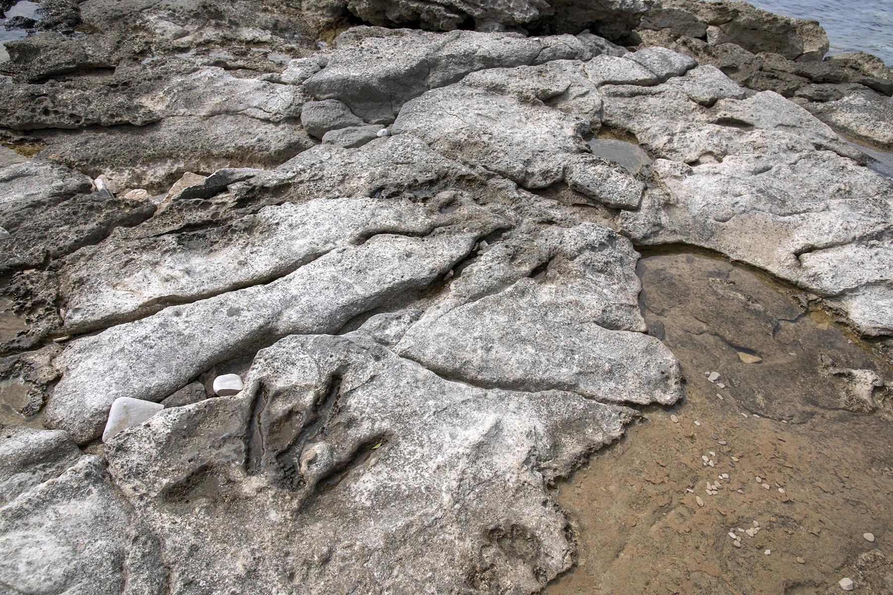 <a href='https://www.fodors.com/world/europe/croatia/istria/experiences/news/dinosaurs-romans-countrymen-on-the-history-trail-at-brijuni-national-park#'>From "Dinosaurs, Romans, Countrymen: On the History Trail at Brijuni National Park: Promenade of the Dinosaurs"</a>