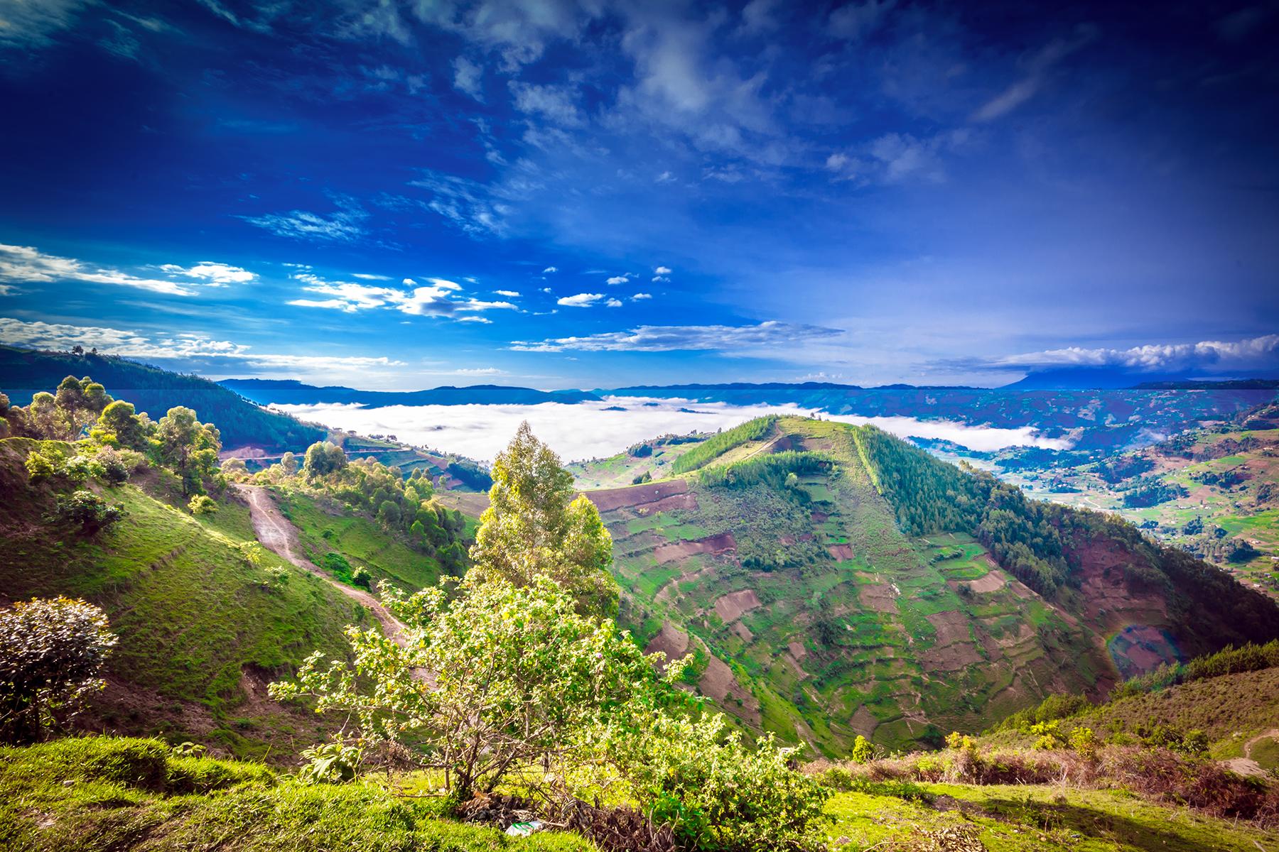 02_UgandaGorillas101__BestCountryToSeeGorillas_shutterstock_1220038189