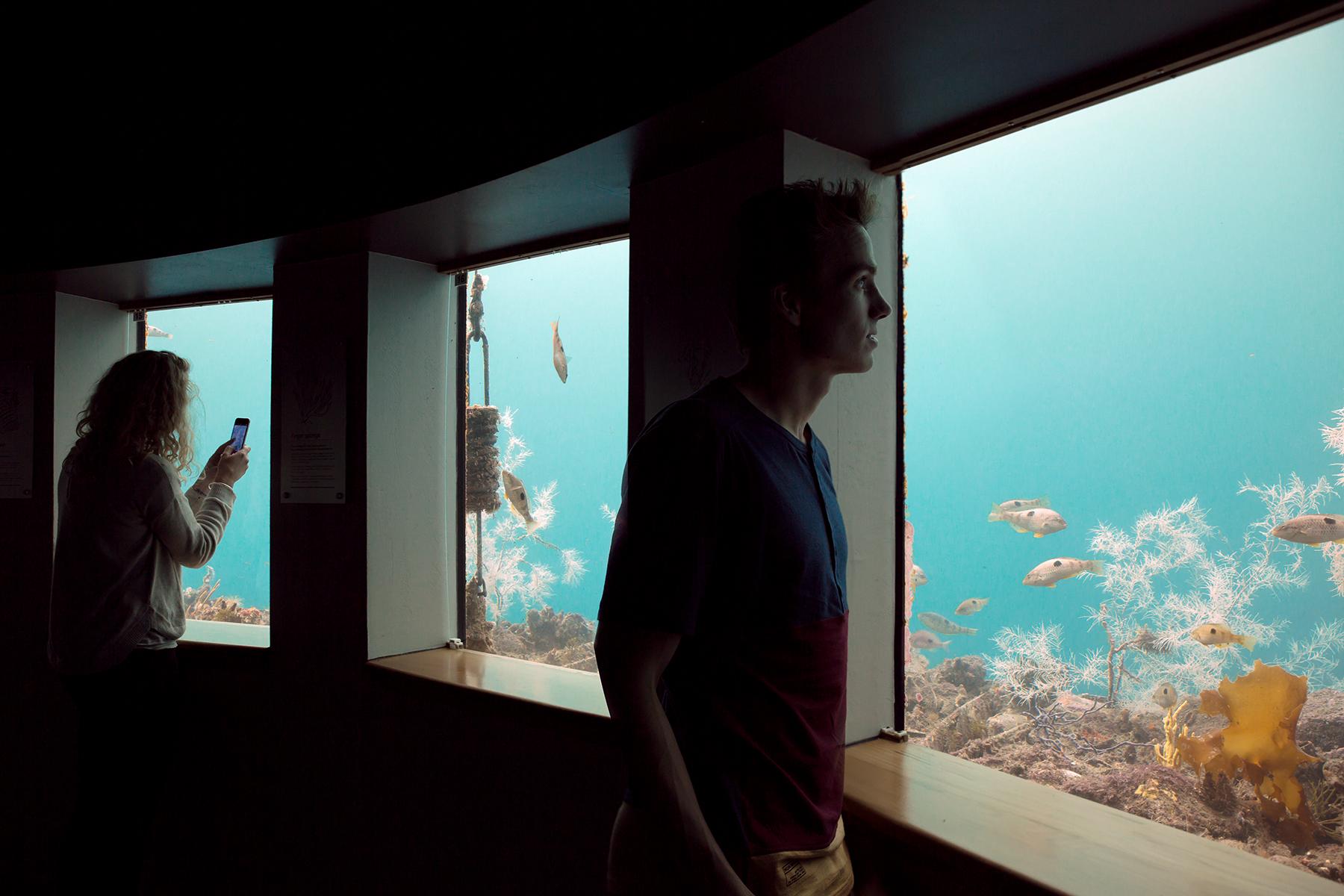 06_UltimateThingsToDoNewZealand__MilfordDeep_Underwater-Observatory