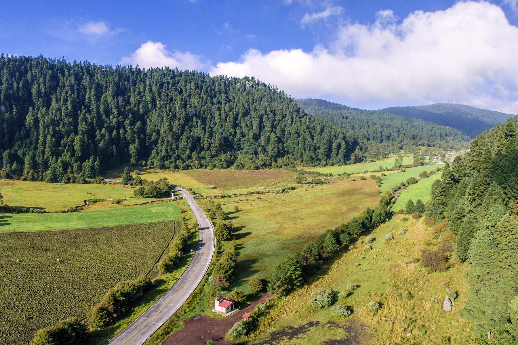 <a href='http://www.fodors.com/world/mexico-and-central-america/mexico/mexico-city/experiences/news/photos/12-adventurous-day-trips-from-mexico-city#'>From "12 Adventurous Day Trips From Mexico City: El Ajusco"</a>
