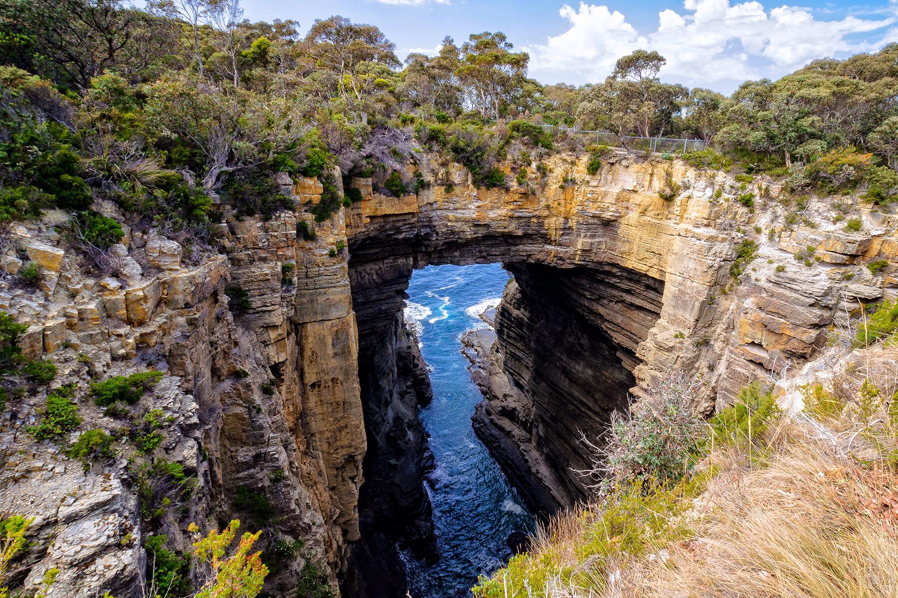 13_InternationalParks__Tasman_shutterstock_763154800