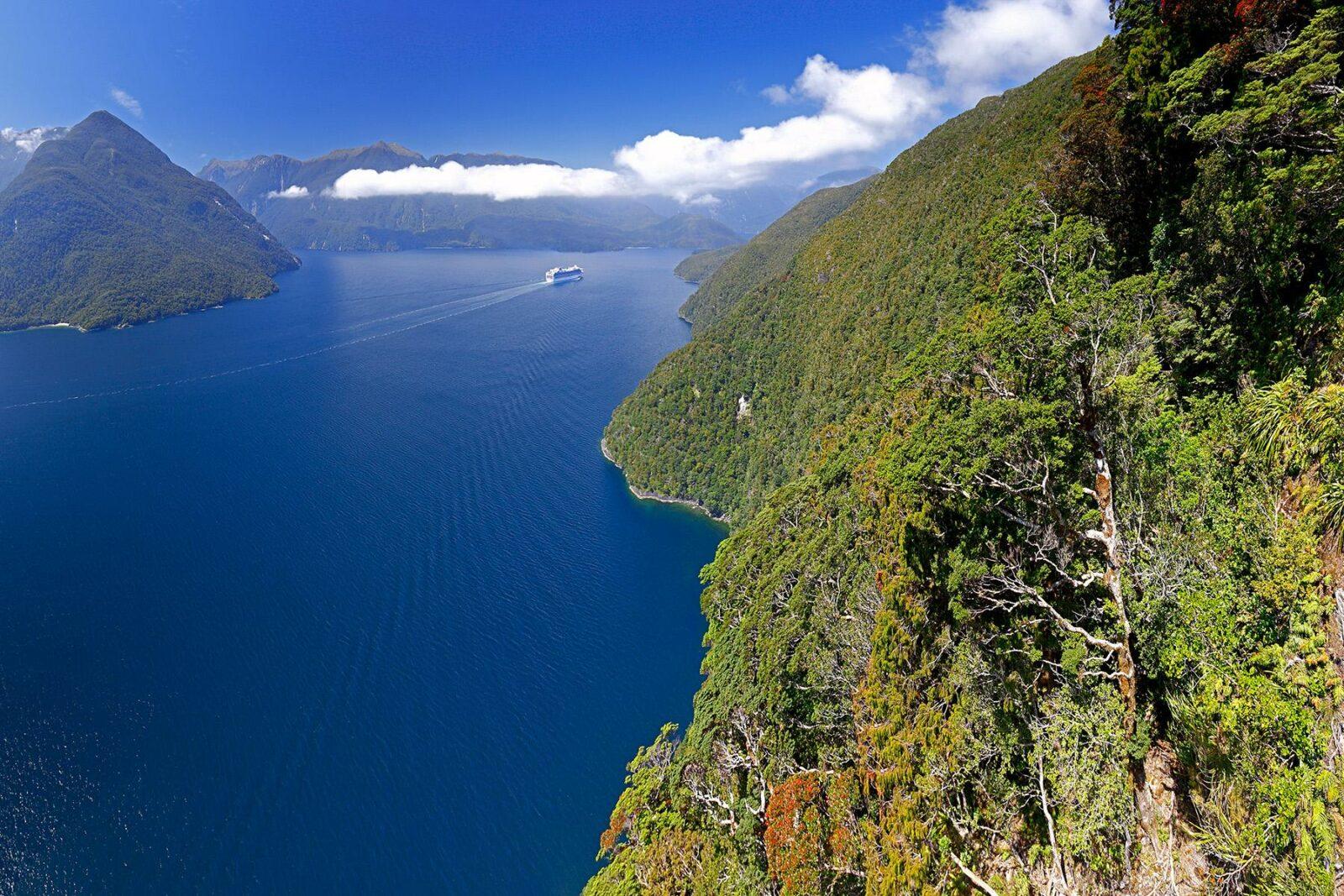Best Tips Before Traveling to New Zealand