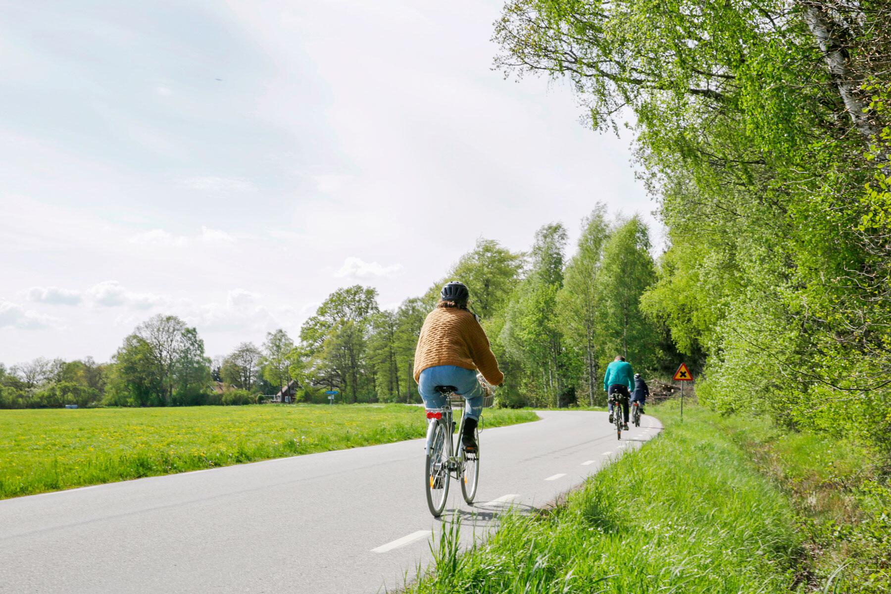 <a href='http://www.fodors.com/world/europe/sweden/experiences/news/forage-in-sweden-and-your-palate-and-the-planet-will-thank-you#'>From "Forage in Sweden and Your Palate—and the Planet—Will Thank You: Leave Your Car Behind "</a>