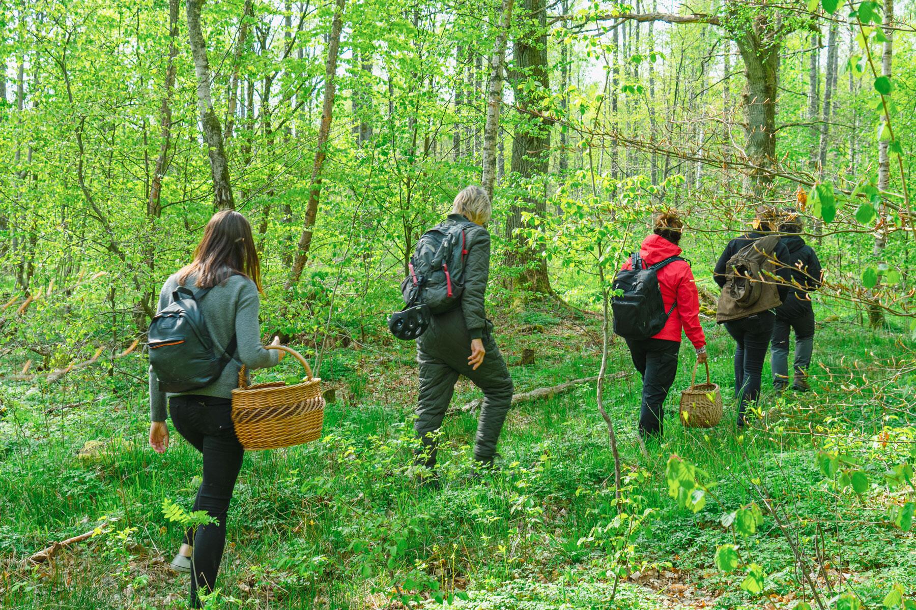 <a href='http://www.fodors.com/world/europe/sweden/experiences/news/forage-in-sweden-and-your-palate-and-the-planet-will-thank-you#'>From "Forage in Sweden and Your Palate—and the Planet—Will Thank You: Ready, Set, Forage!"</a>