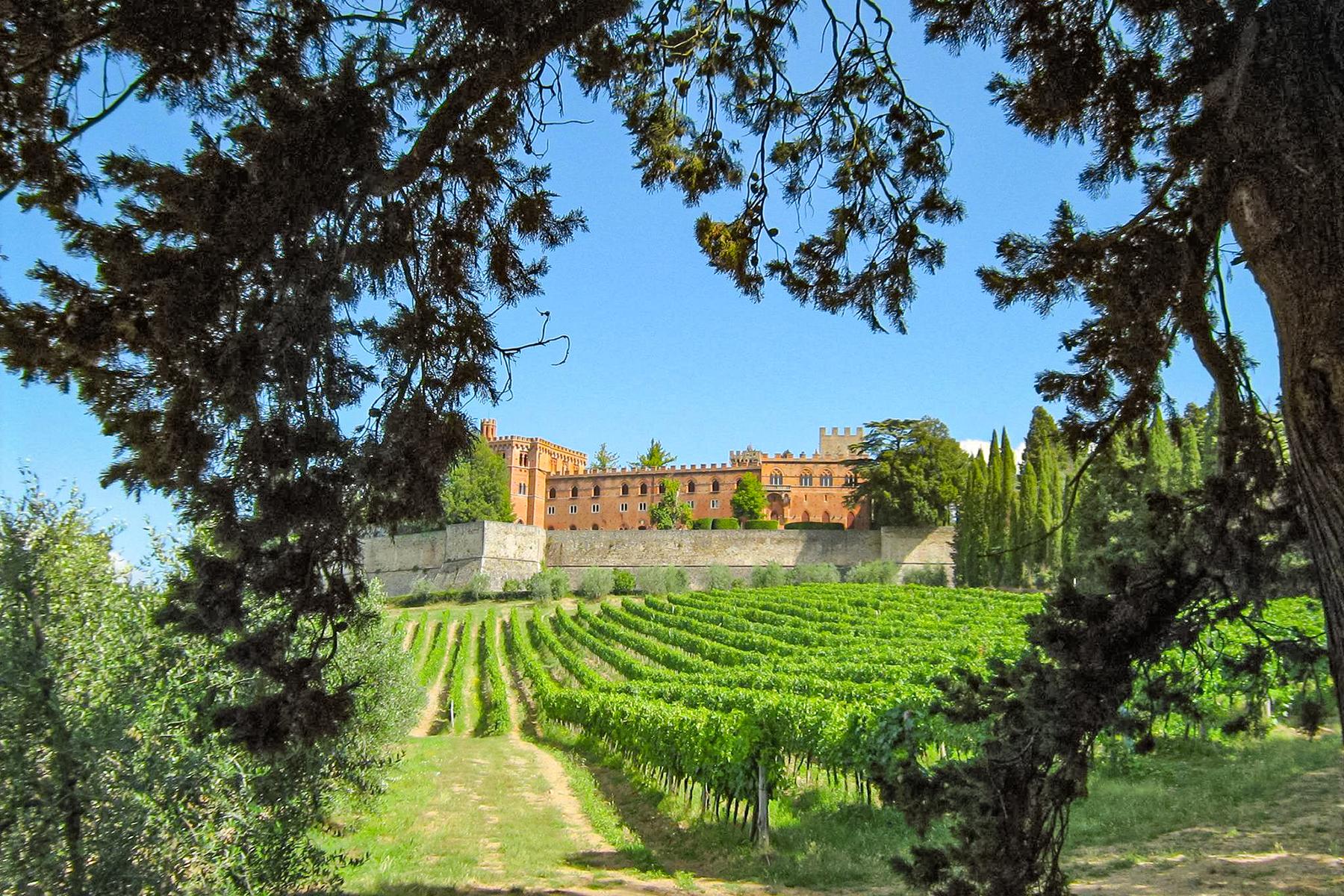 best winery tour in tuscany