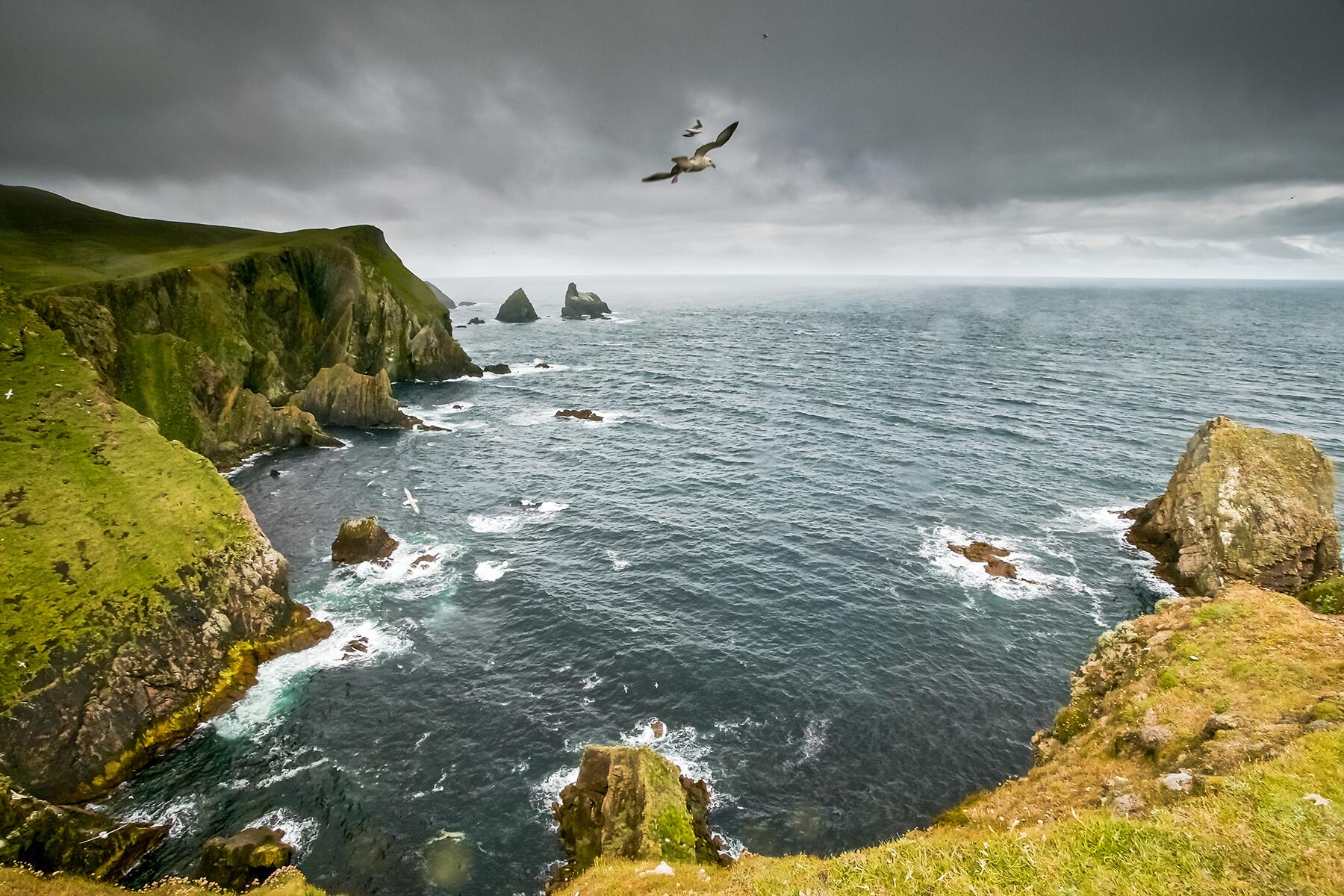05_IsleofArraninQuirkyScottish__FairIsle_shutterstock_772262371