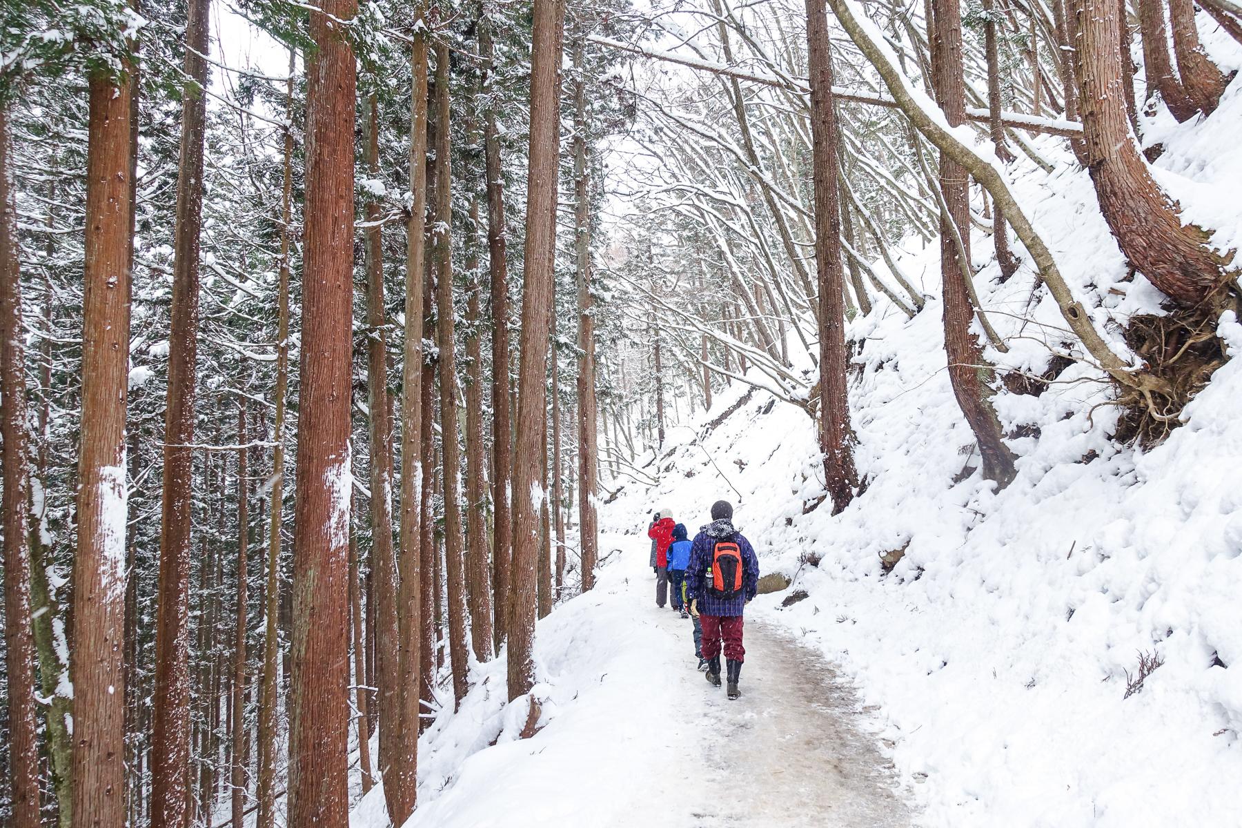 07_JapanSnowMonkeys__Howdoyougetin_shutterstock_785791240