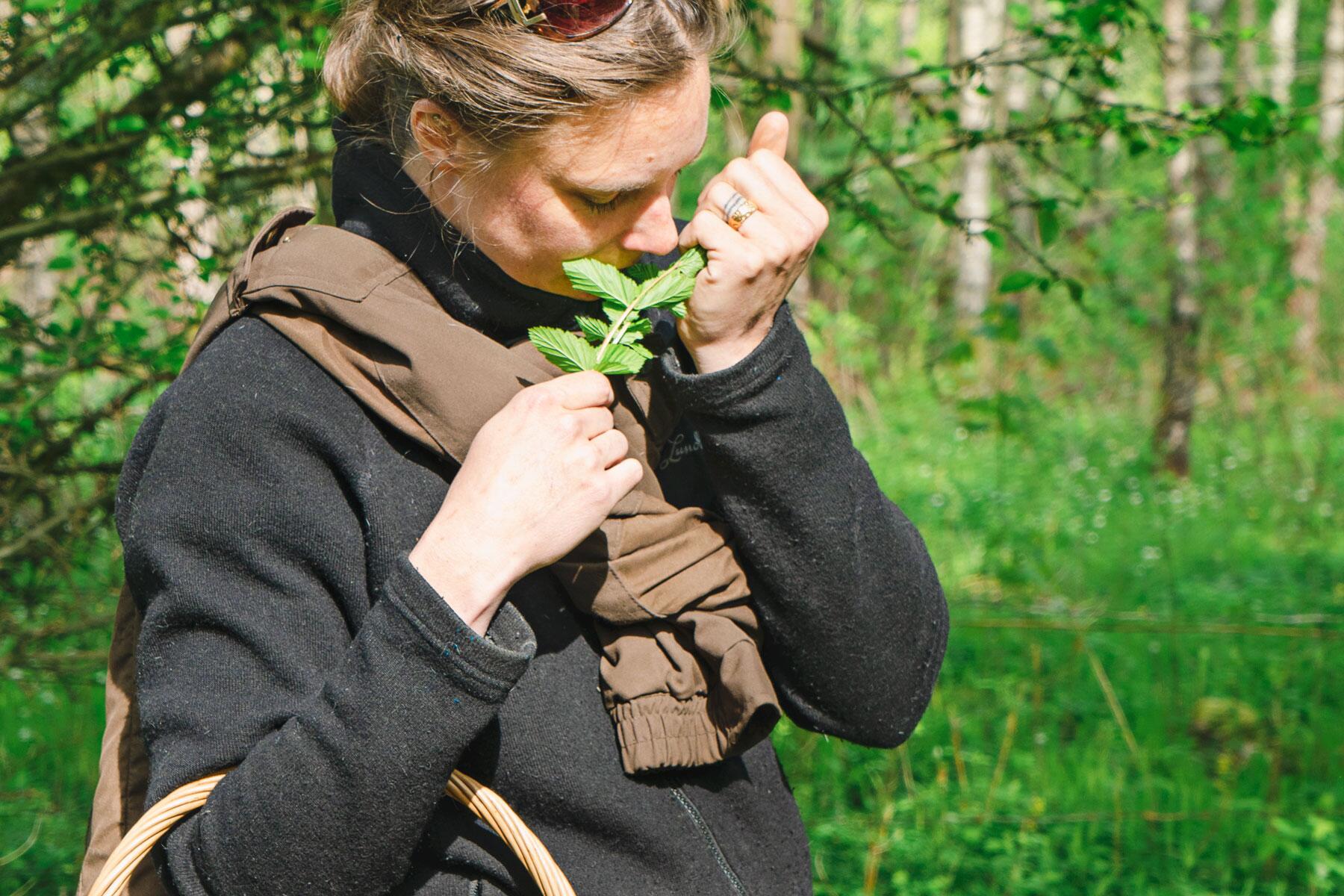<a href='http://www.fodors.com/world/europe/sweden/experiences/news/forage-in-sweden-and-your-palate-and-the-planet-will-thank-you#'>From "Forage in Sweden and Your Palate—and the Planet—Will Thank You: The Noma Effect "</a>