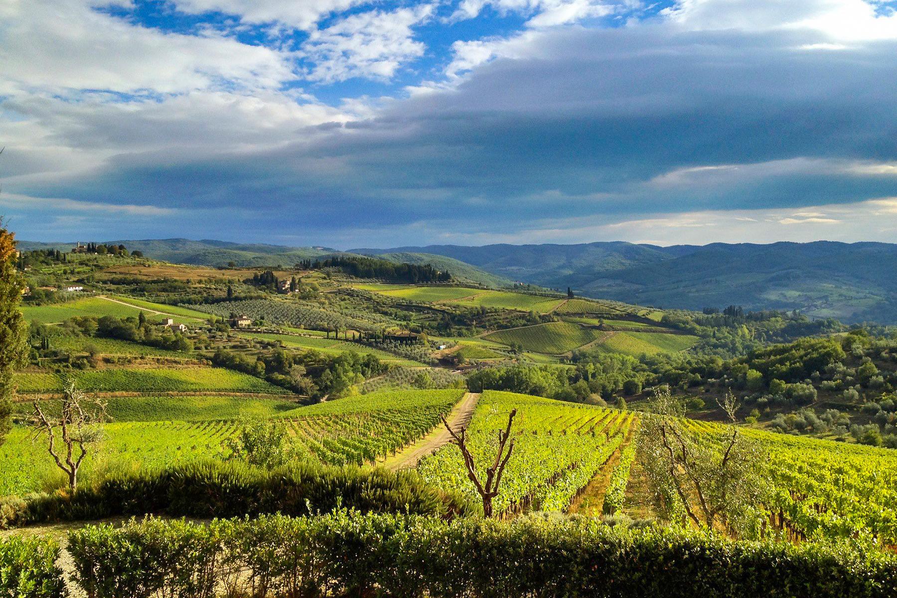 09_BestWineriesTuscany__Fontodi_220517_330229420406733
