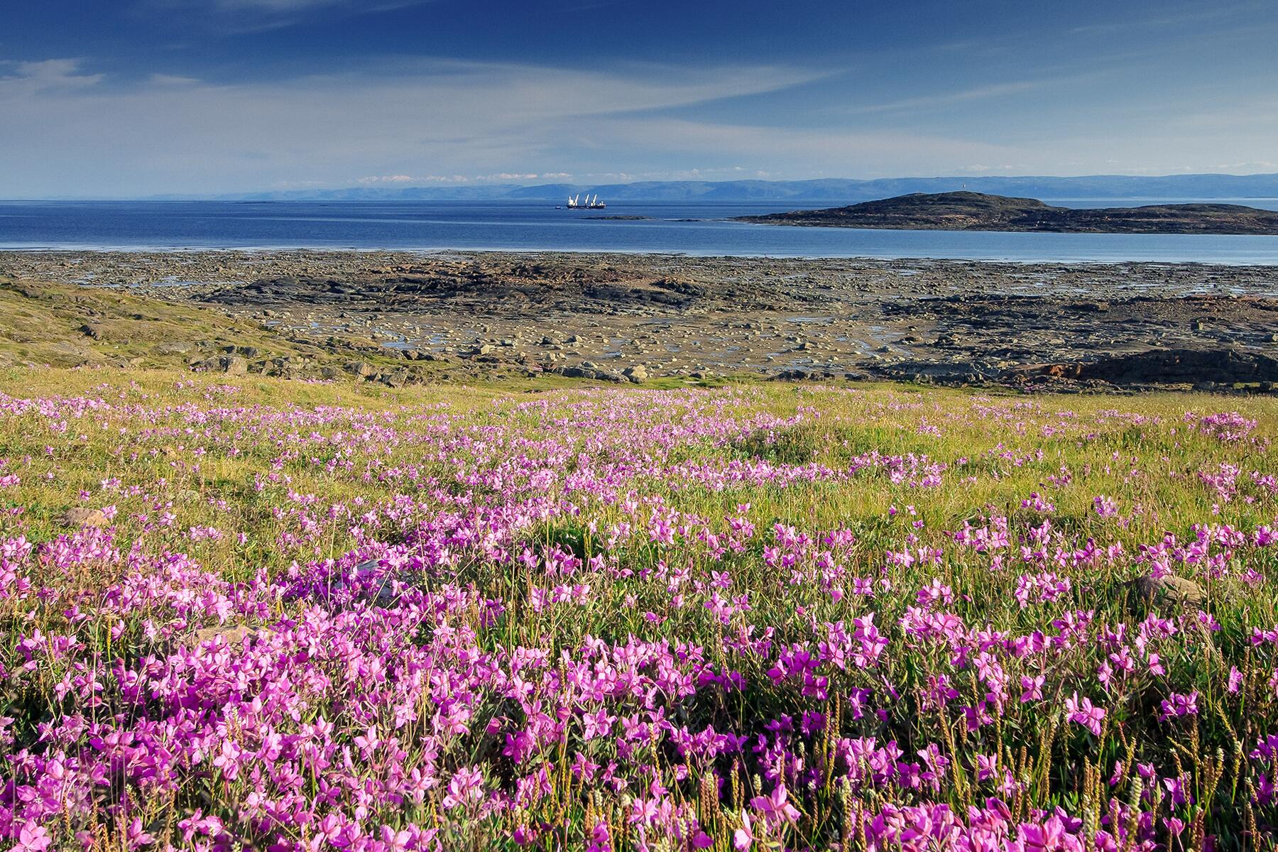 10_10ReasonsToVisitNunavut__HikeAlongAncientCaribouTracks_shutterstock_1226397913