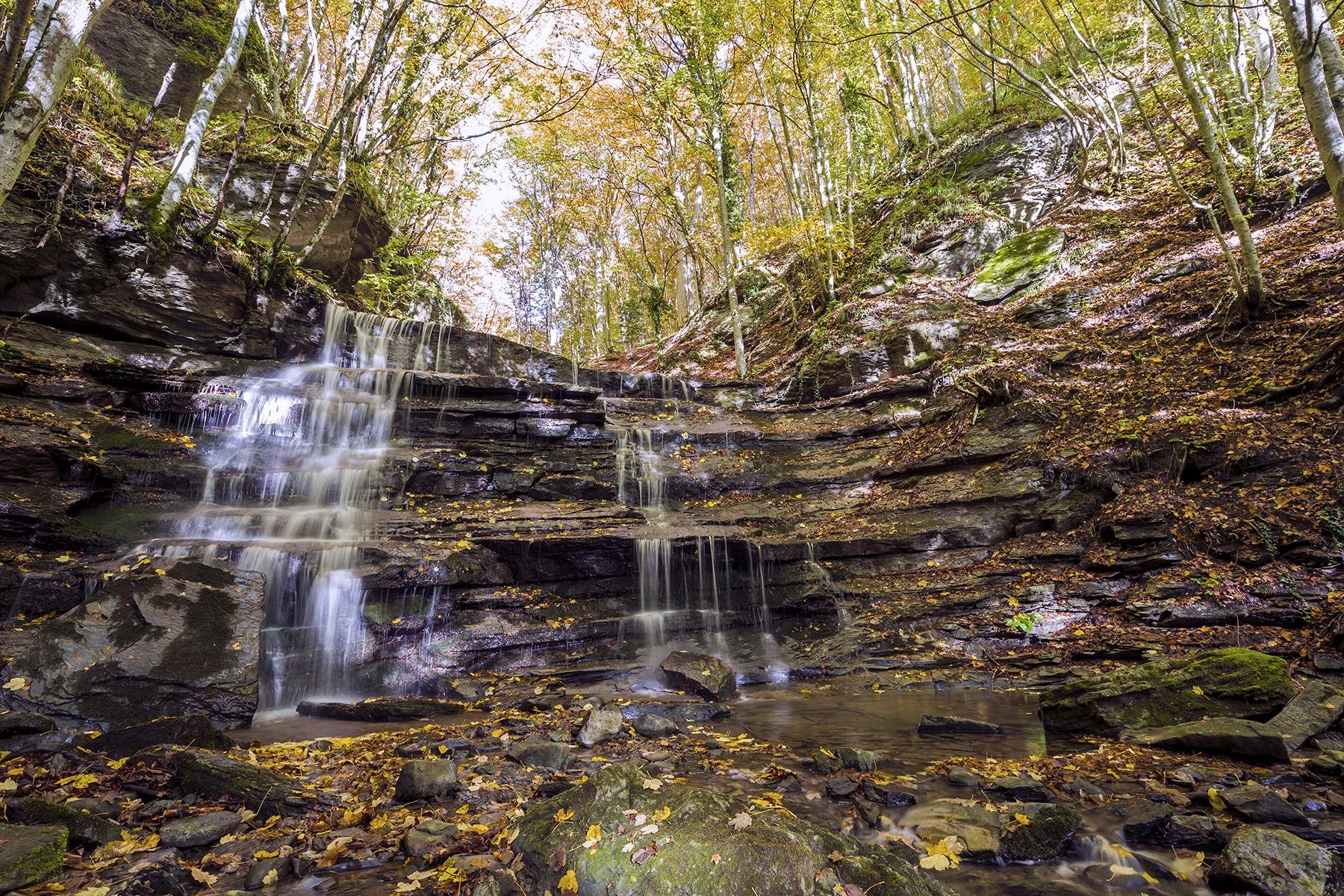 22_UltimateTuscany__HikeInForesteCasentinesi_shutterstock_506673268