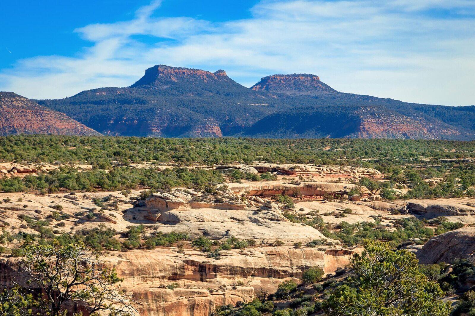 Fun Things to Do in Bears Ears National Monument, Utah