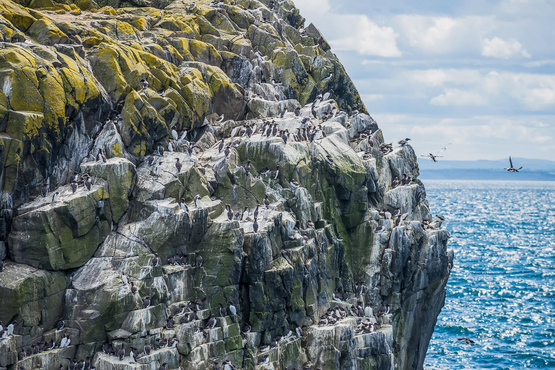 irish cliffs