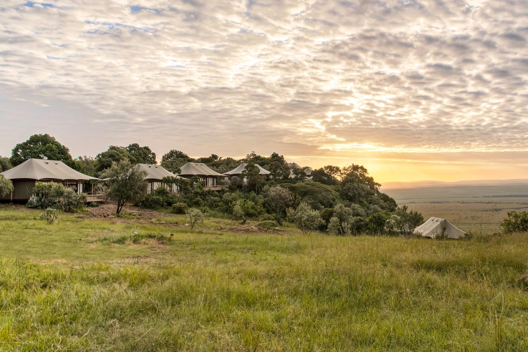 01_Africa__AngamaMara_1.) AM tent 6 01_Africa__AngamaMara_1.) AM tent 6