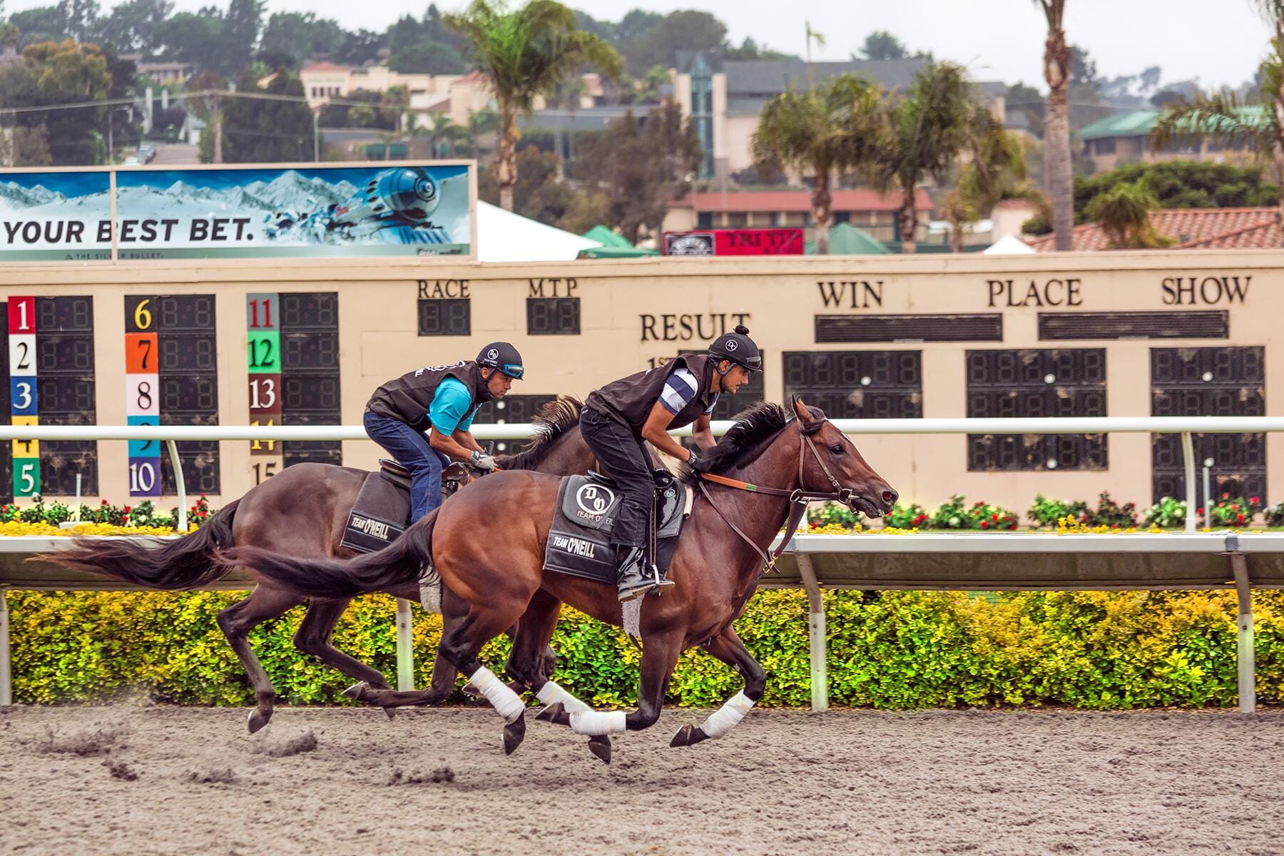 03_UltimateThingsToDoSanDiego__BetOnAHorseRaceDelMarRacetrack_dreamstime_xxl_32780296