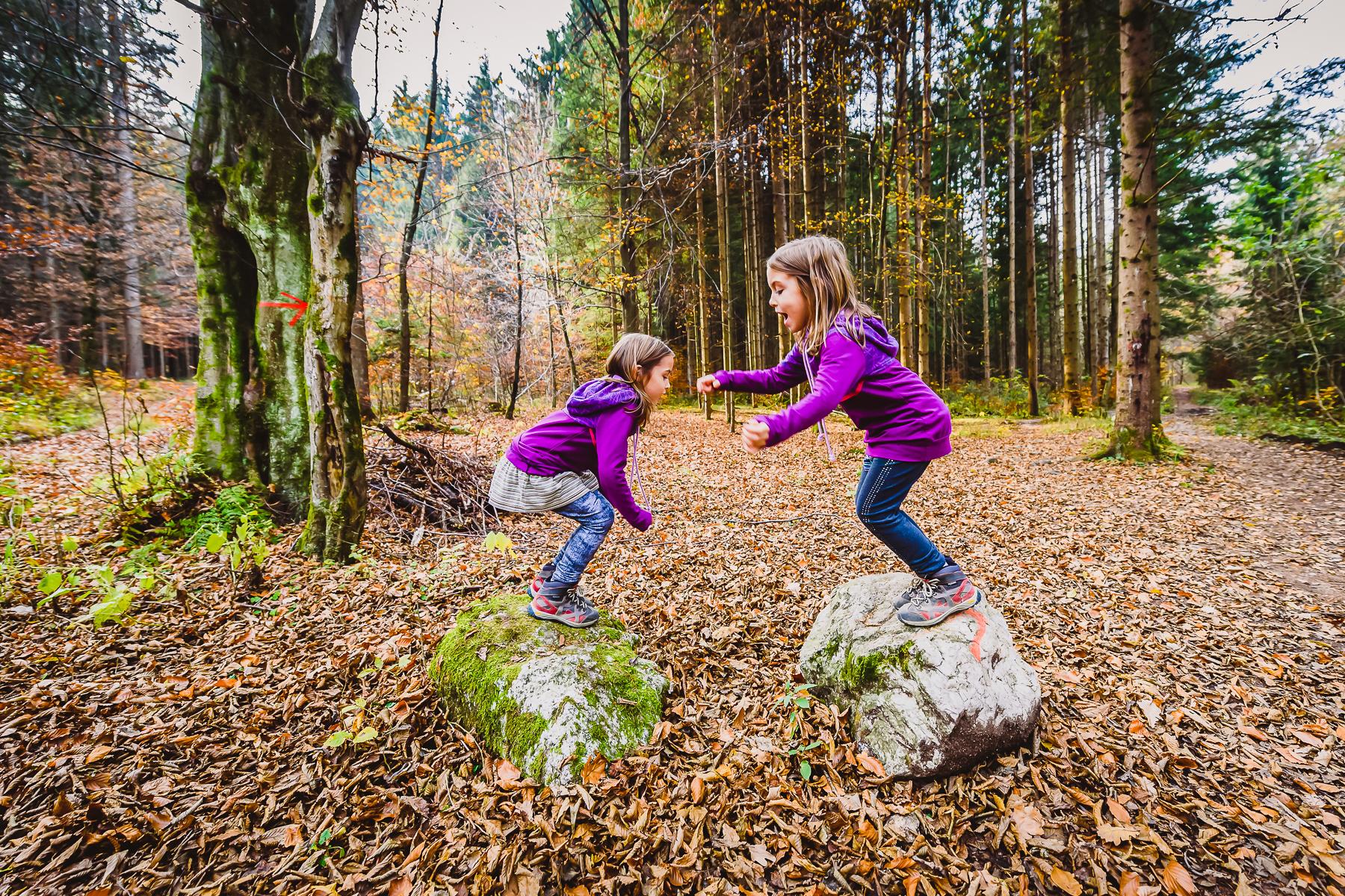 04_FallFoliageTours__BringtheKids_iStock-970204856