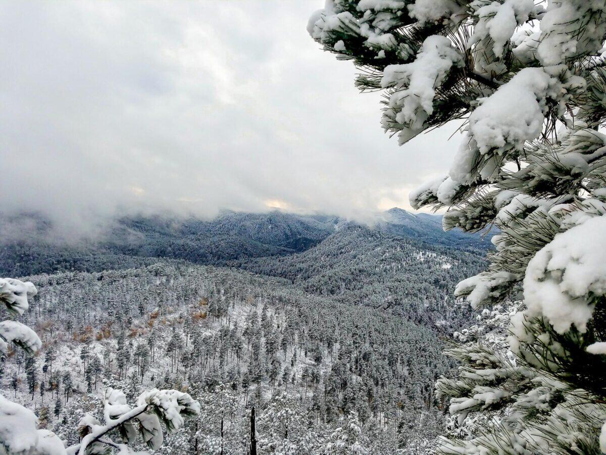 Things to Do and See in Rapid City, South Dakota in the Winter Time