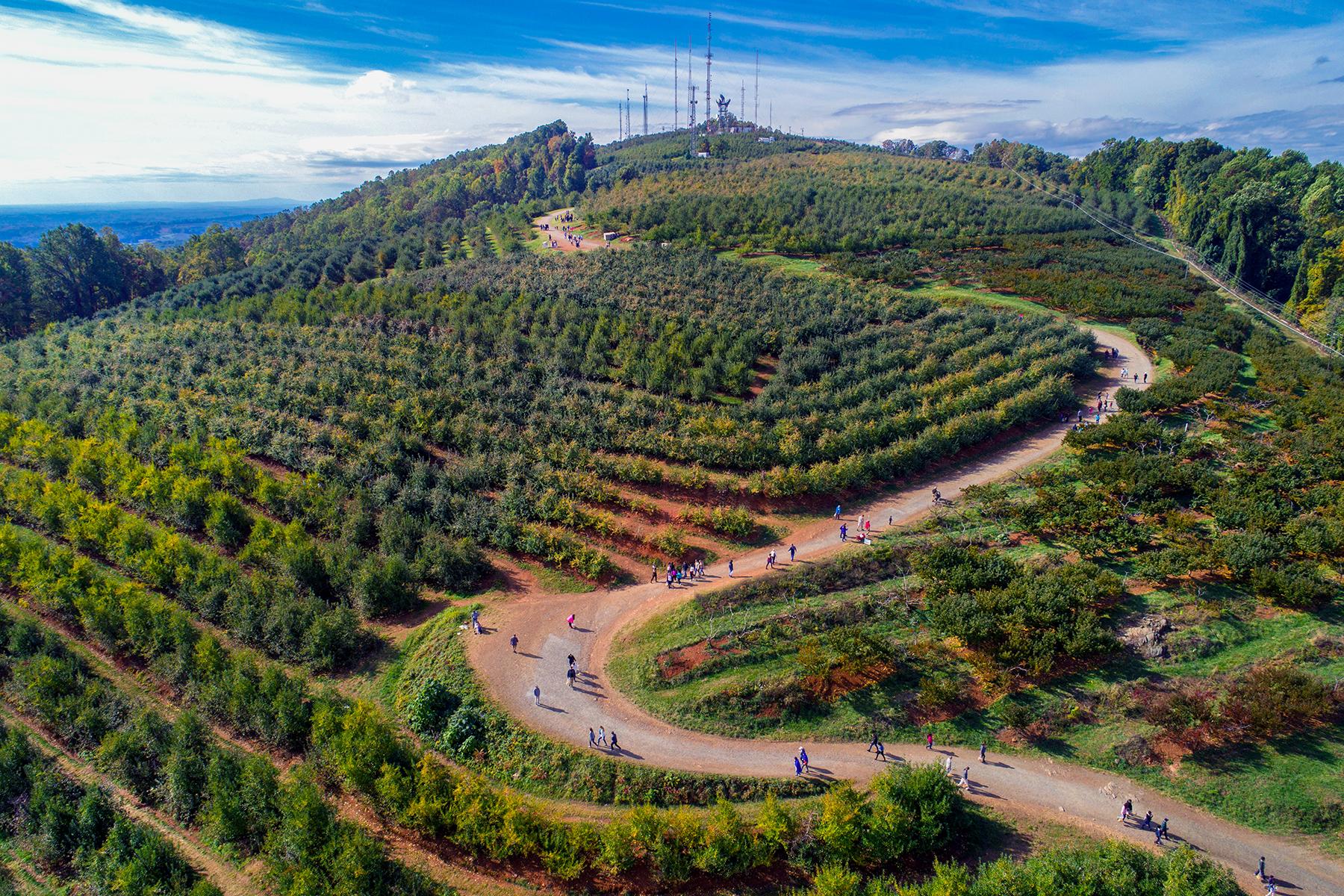 08_01_AppleOrchardsYouCanVisit__CarterMountainOrchard_CM-views-2017-AaronWatson-18-aerial