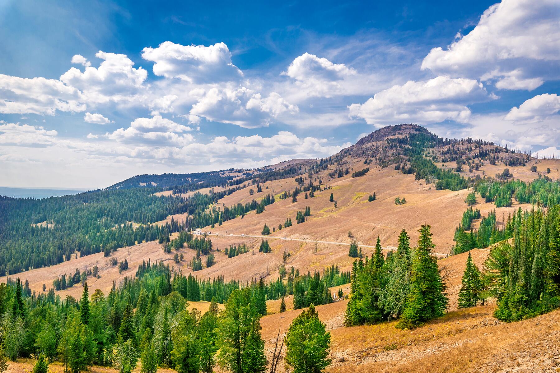 17_NationalParkExtremes__MostHikingTrails_YellowstoneNationalPark_dreamstime_xxl_79182563