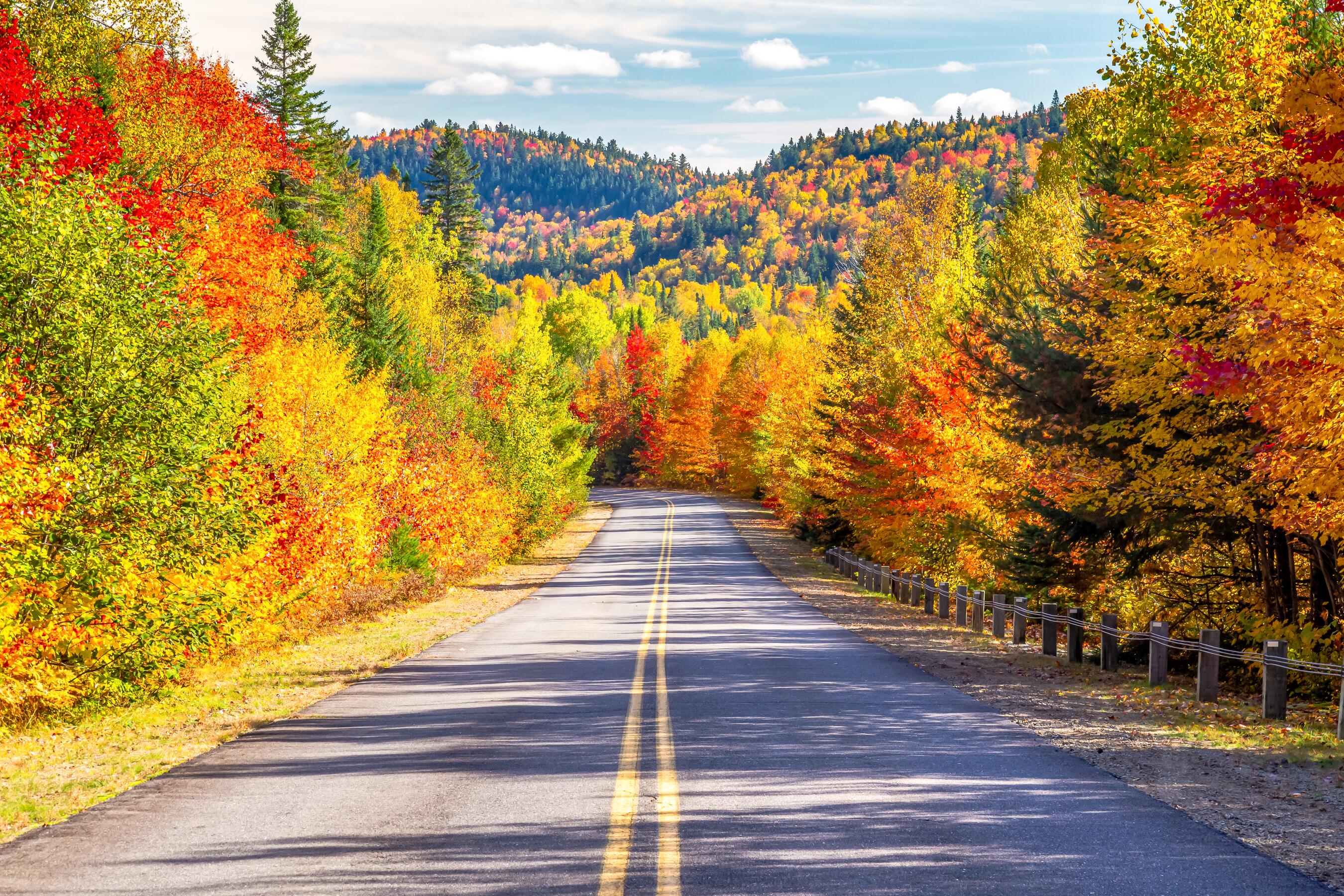 Where to See the Best Fall Leaves in the U.S.