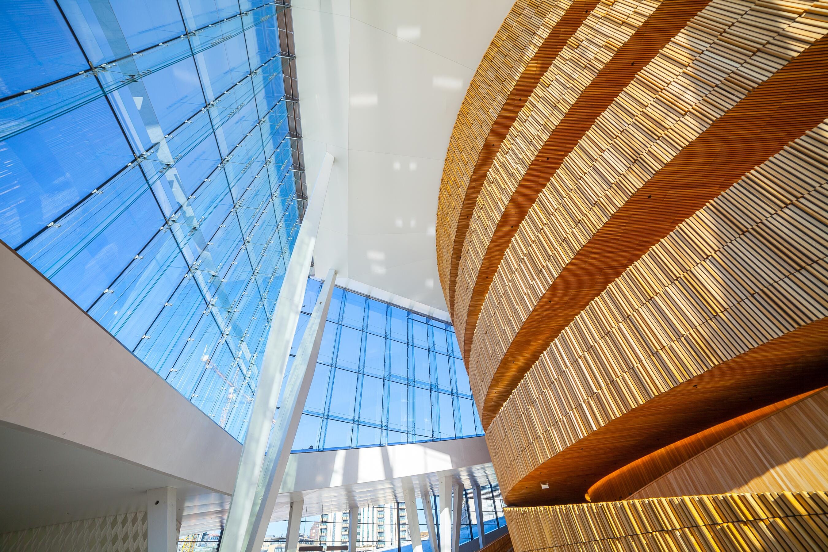 shutterstock_508811767