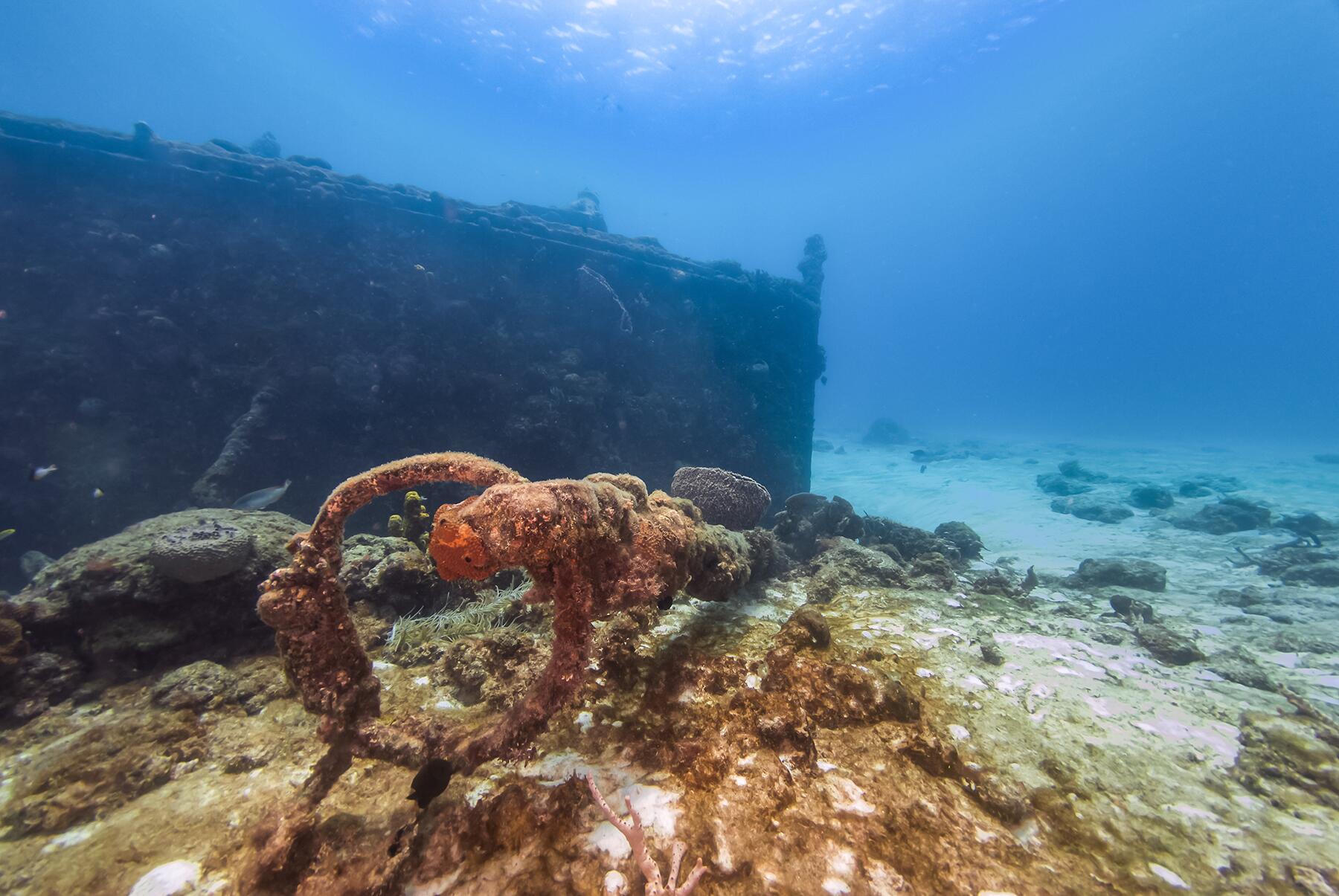 03_BestDivingCaribbean__Barbados_shutterstock_108650993