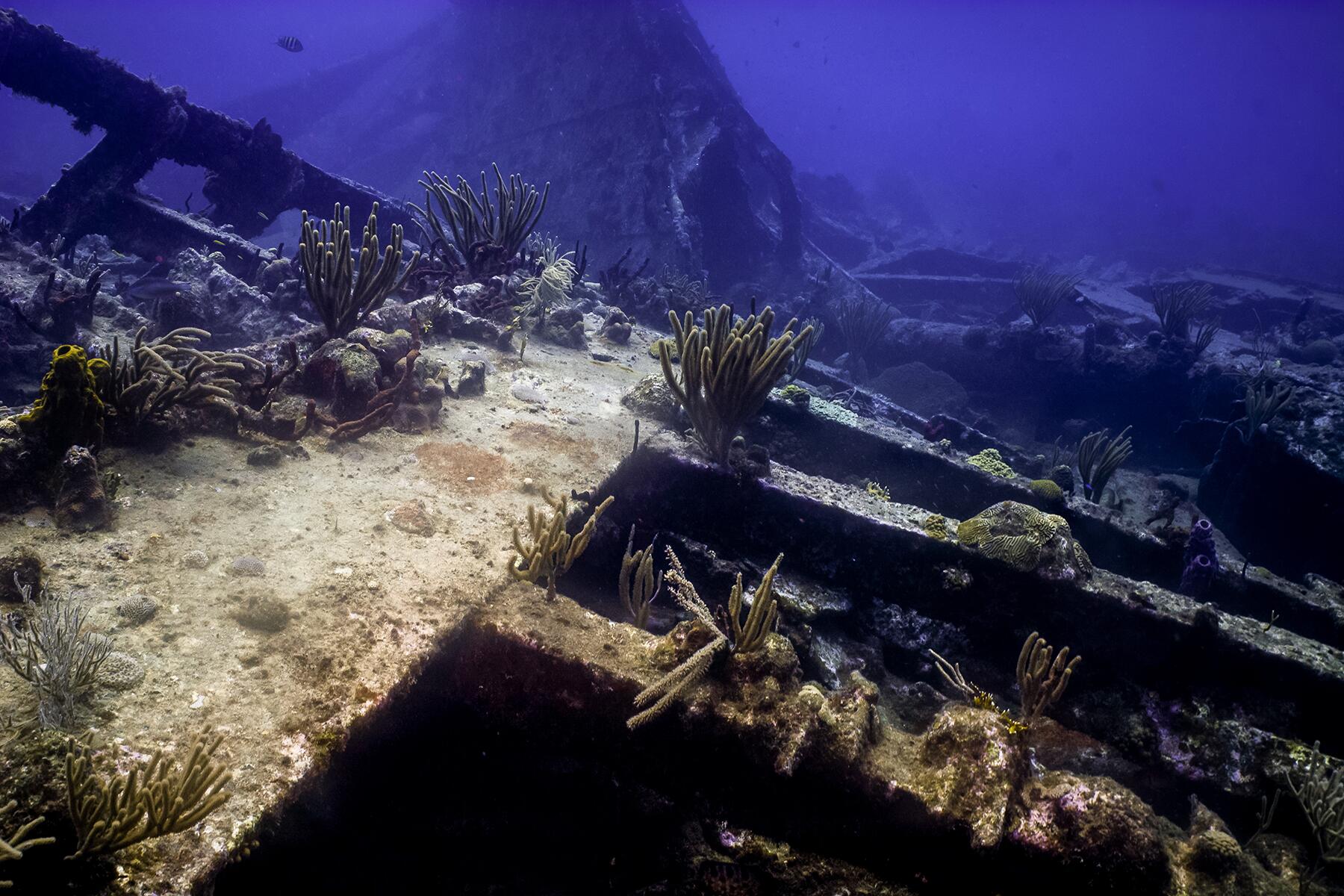 05_BestDivingCaribbean__BVI_shutterstock_78981493