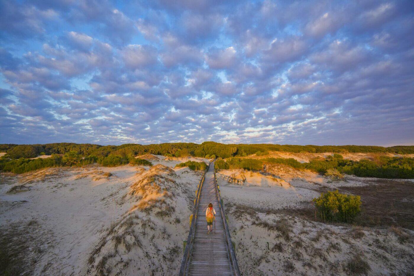 These Are the Best Beaches to Visit in Georgia, U.S.A.