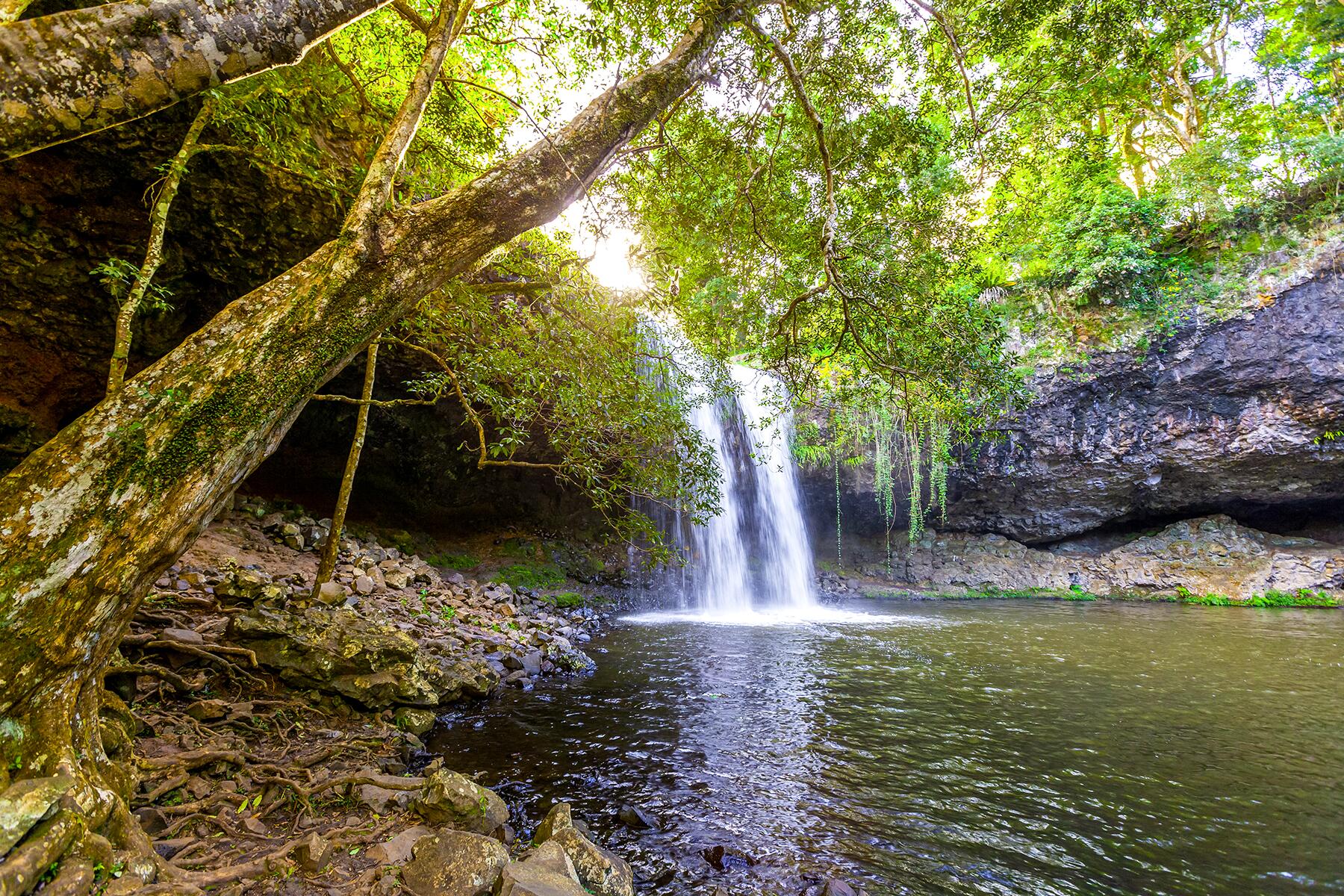 05_ByronBayWaterfalls__KillenFalls_dreamstime_xxl_115553008