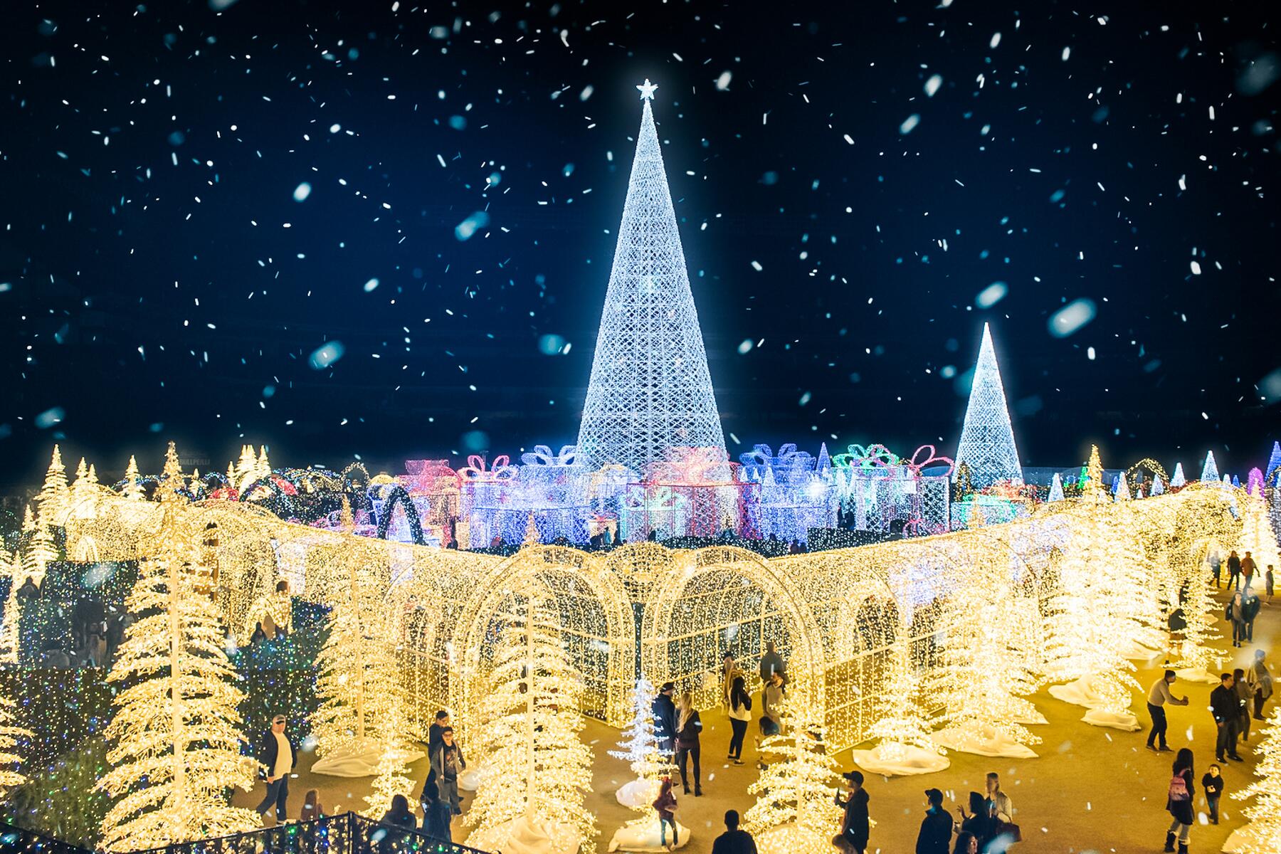 12_InsaneLightDisplays__Enchant_Enchant-Christmas-Mischievous