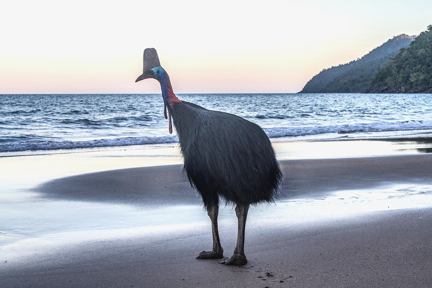 18_AustraliaBestBeaches__EttaBay_shutterstock_580792687