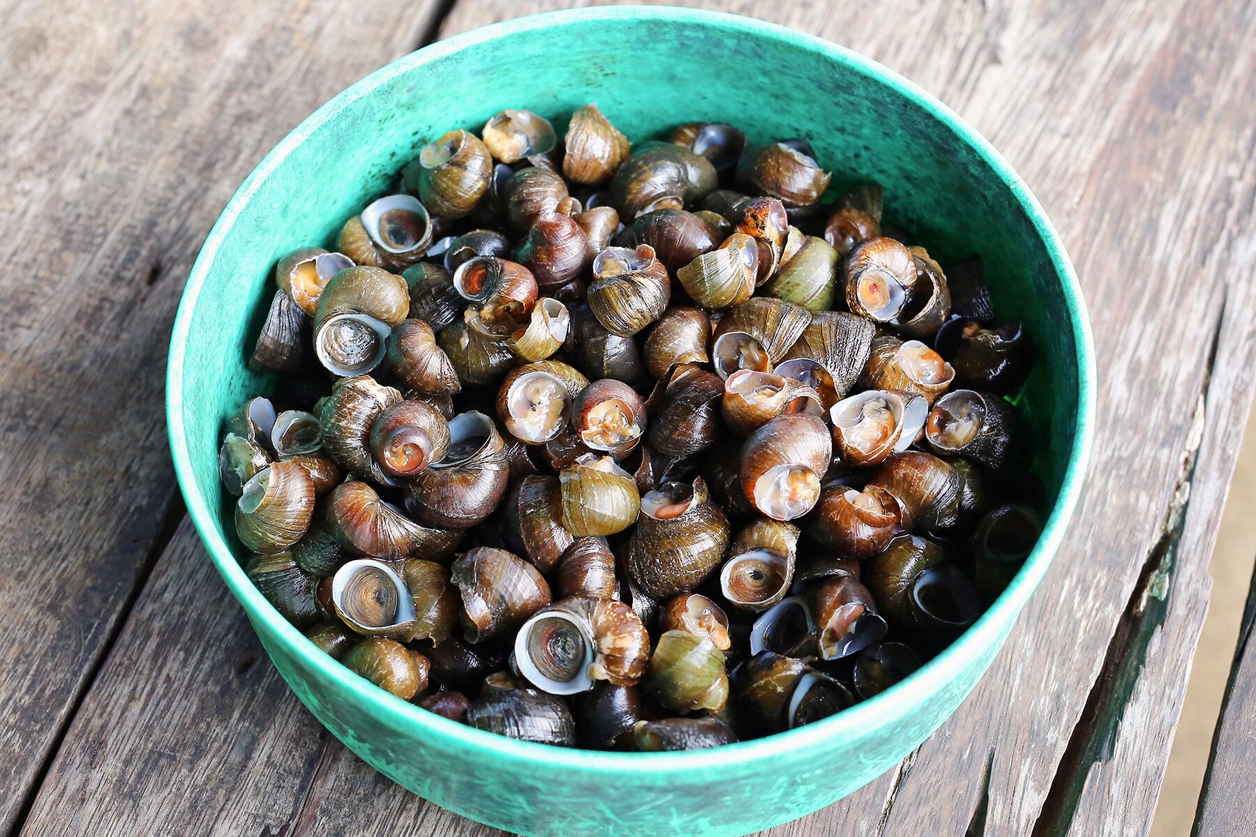 05_WhatToEatAndDrinkInIreland__Periwinkles_shutterstock_473159596
