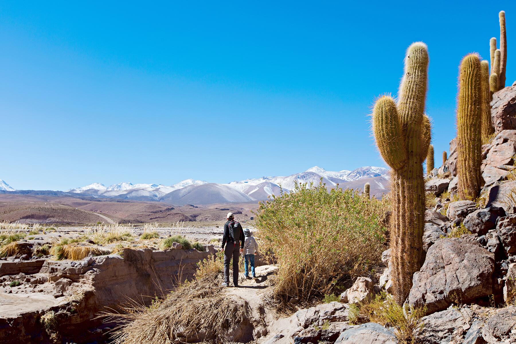 12_Atacama101__CanIGoWithKids_shutterstock_730385233