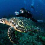 2-the-blue-hole-lighthouse-reef-atoll-belize